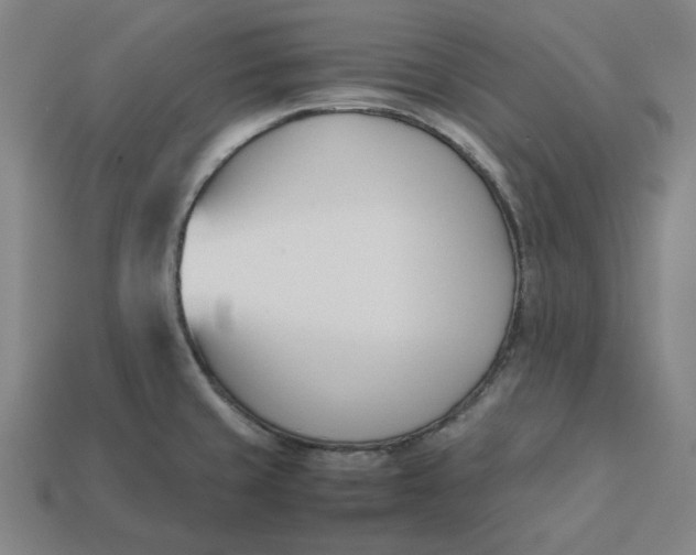 X0000113351429200910061009