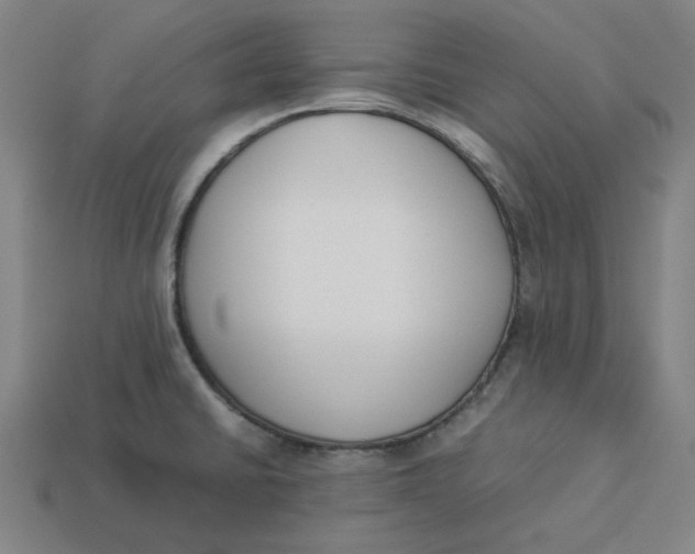 X0000113351430200910061009