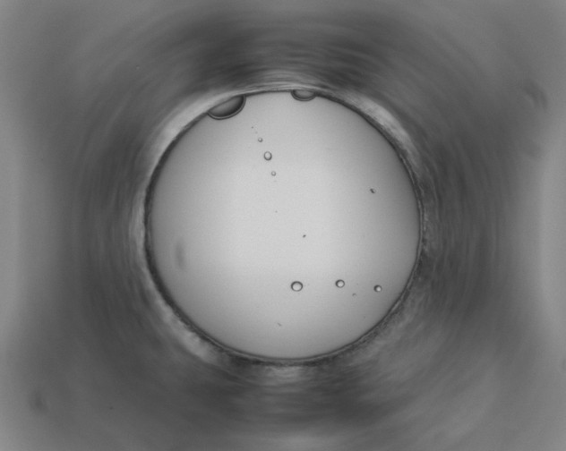 X0000113351431200910061009