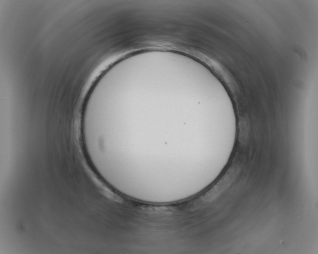 X0000113351432200910061009