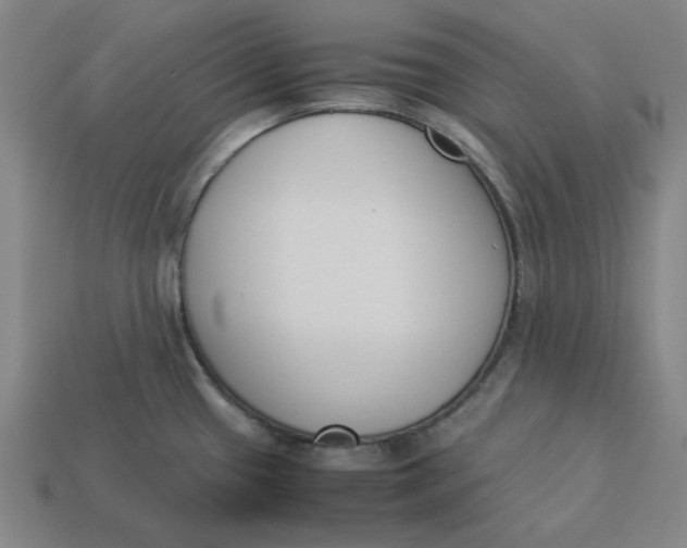 X0000113351433200910061009