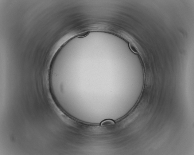 X0000113351434200910061009