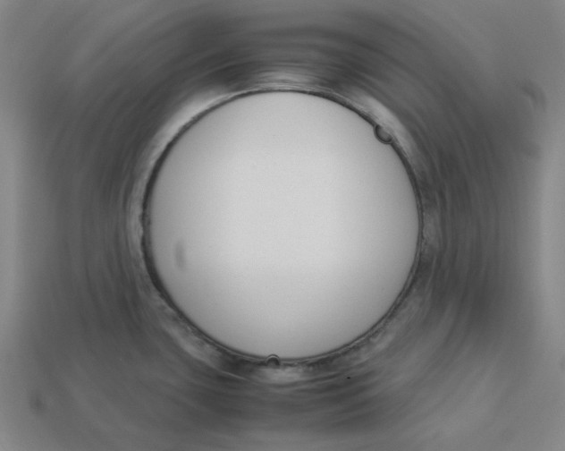 X0000113351435200910061009