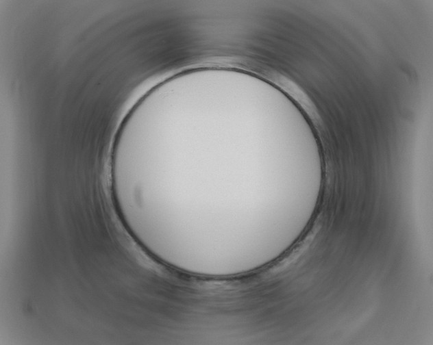 X0000113351436200910061009