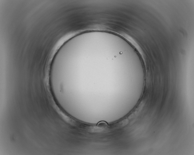 X0000113351437200910061009