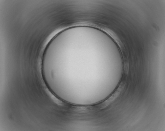 X0000113351438200910061009