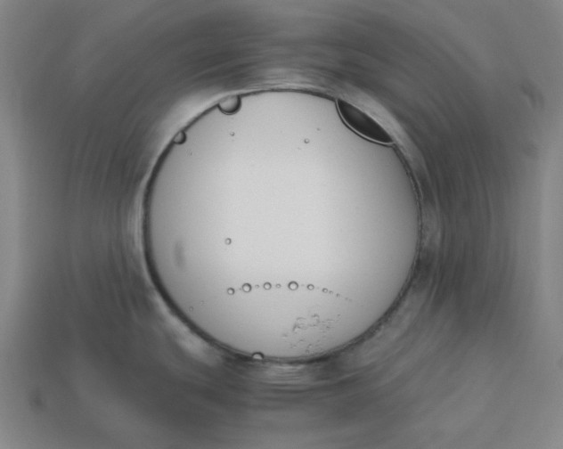 X0000113351439200910061009