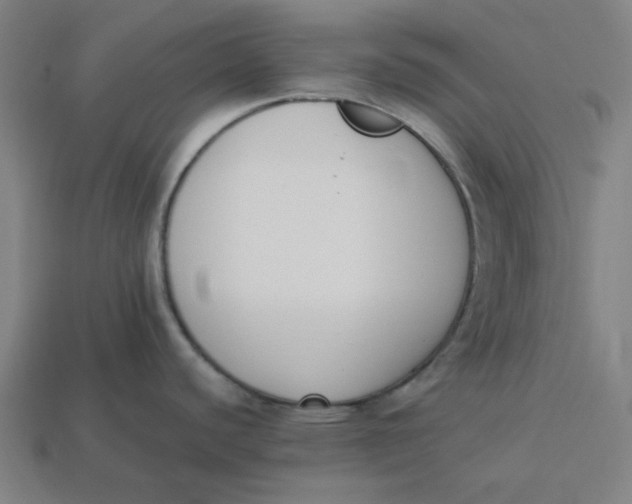 X0000113351440200910061009