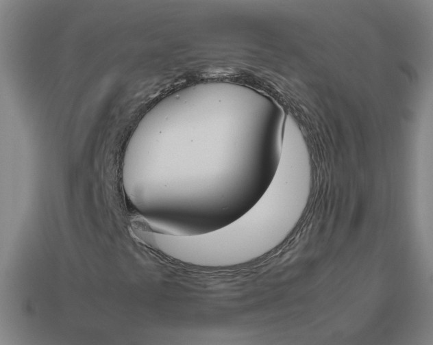 X0000113351441200910061009