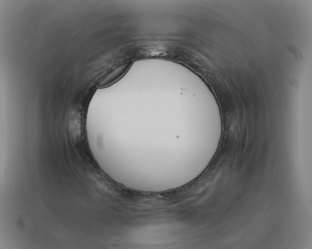 X0000113351442200910061009