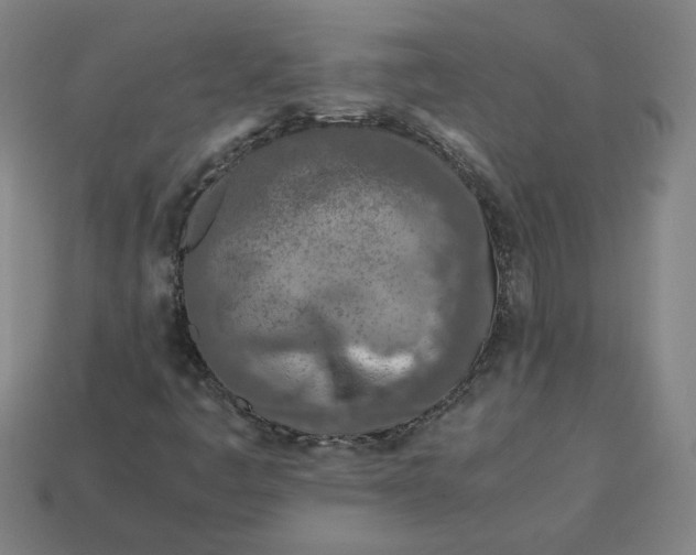 X0000113351445200910061009