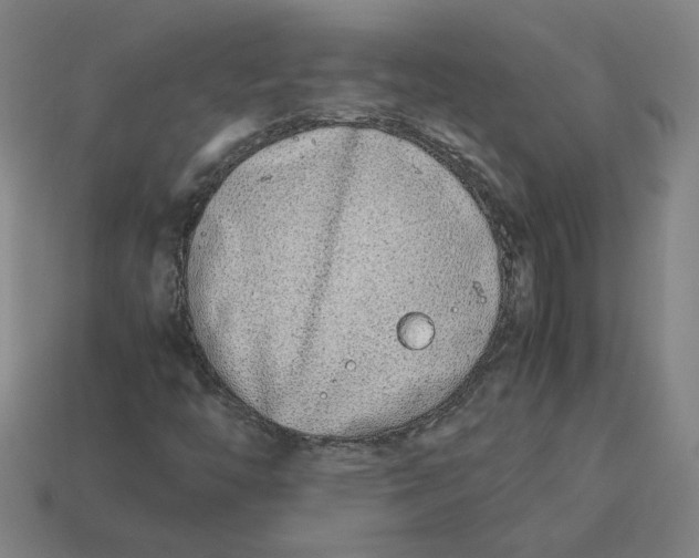 X0000113351446200910061009