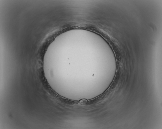 X0000113351447200910061009