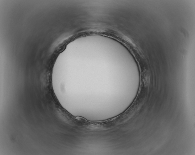 X0000113351448200910061009