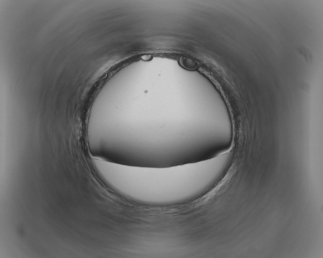 X0000113351449200910061009