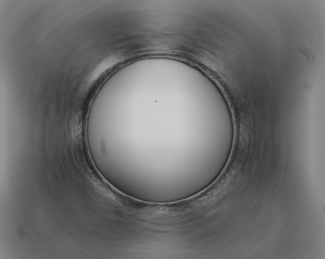 X0000113351450200910061009