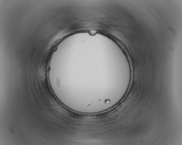 X0000113351451200910061009