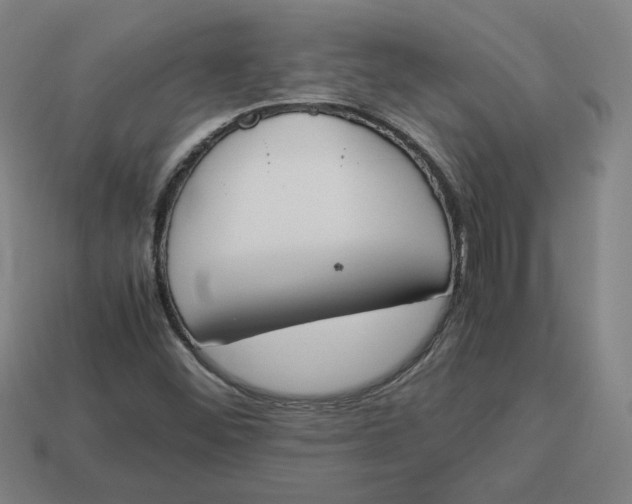 X0000113351452200910061009