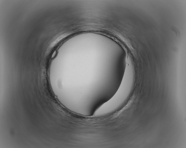 X0000113351453200910061009