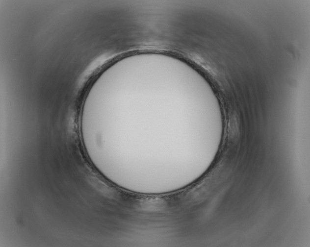 X0000113351454200910061009