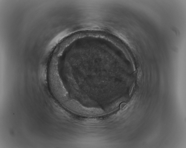 X0000113351455200910061009