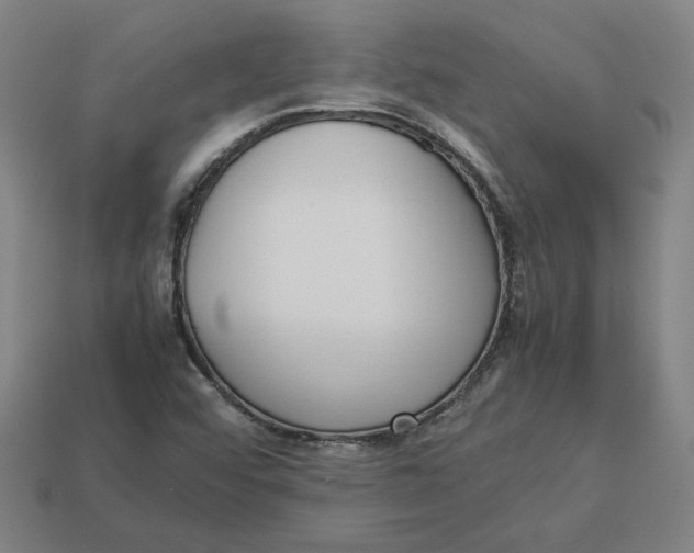 X0000113351456200910061009