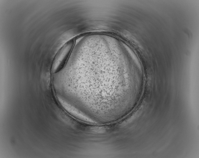 X0000113351457200910061009