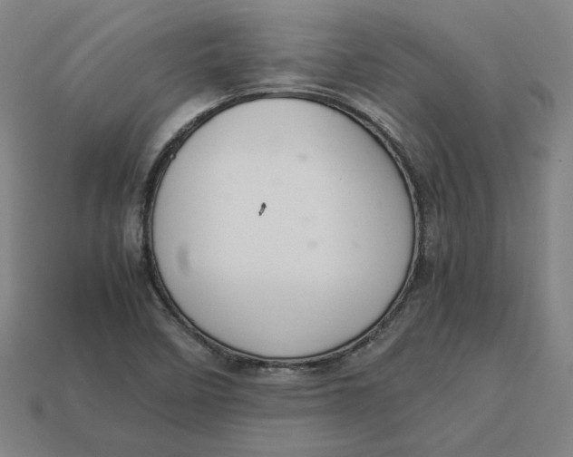 X0000113351458200910061009