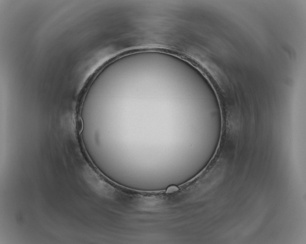 X0000113351460200910061008