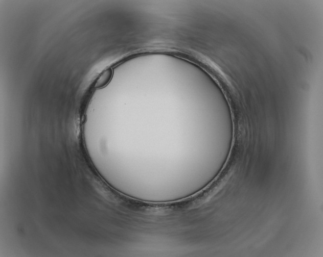 X0000113351461200910061008