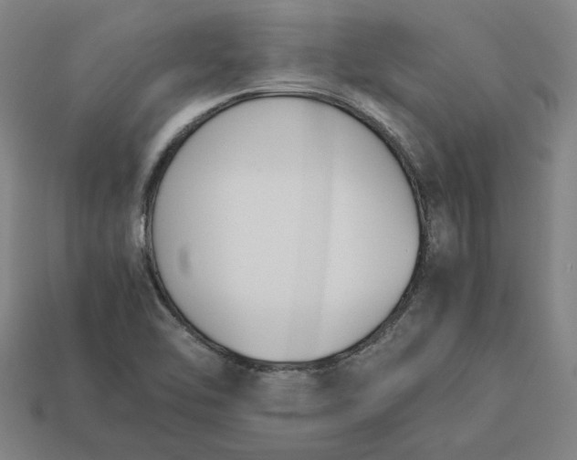 X0000113351462200910061008