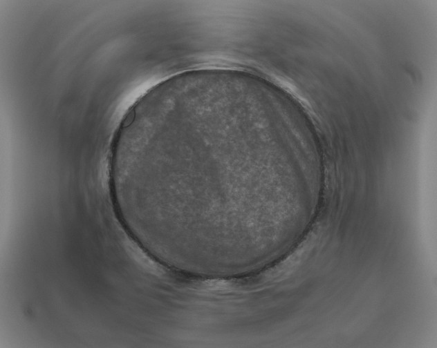 X0000113351463200910061008