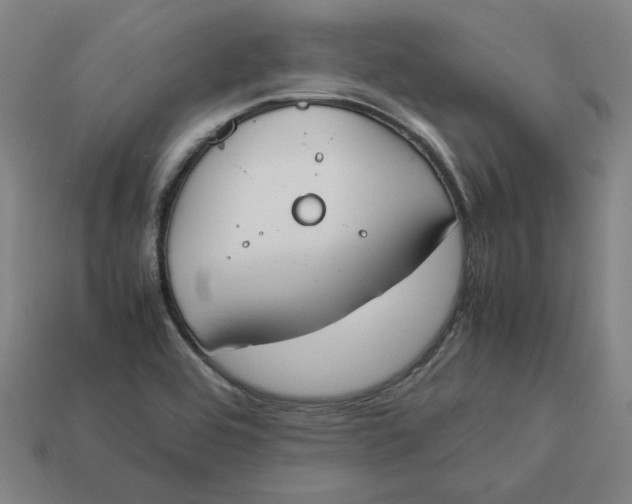 X0000113351464200910061008