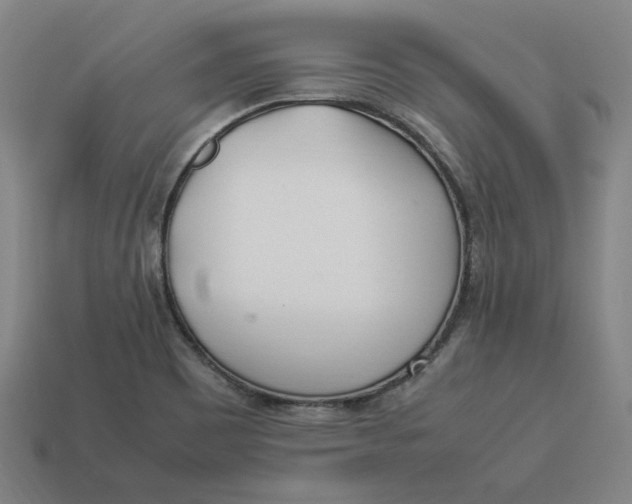 X0000113351465200910061008