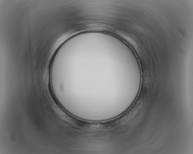 X0000113351467200910061008