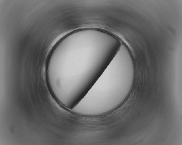 X0000113351468200910061008