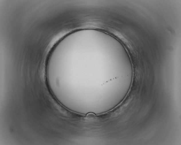 X0000113351469200910061008