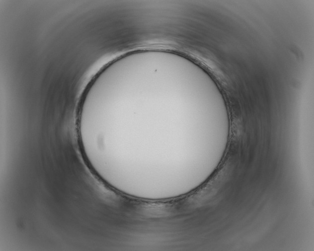 X0000113351470200910061008