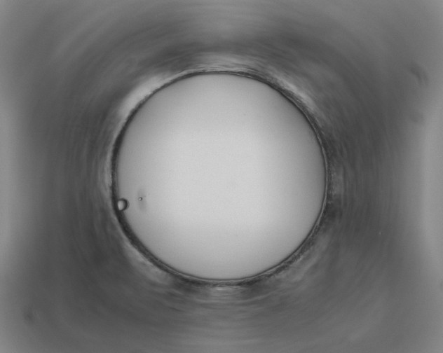 X0000113351471200910061008