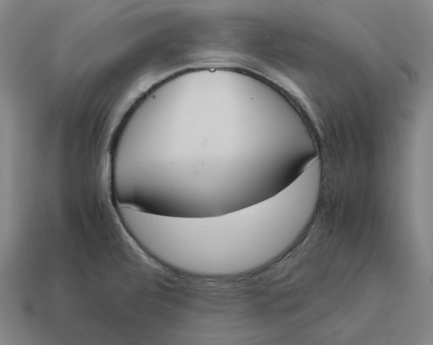 X0000113351472200910061008