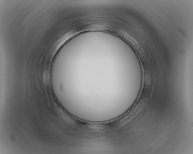 X0000113351473200910061008