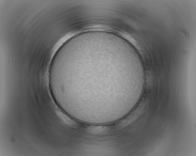 X0000113351474200910061008