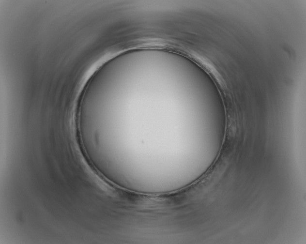 X0000113351475200910061008