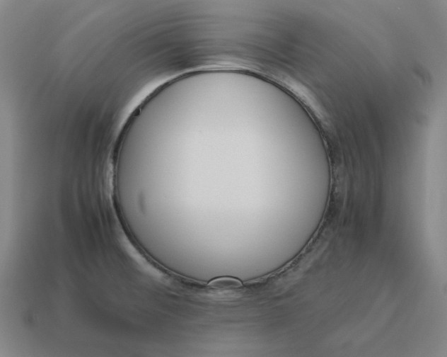 X0000113351476200910061008