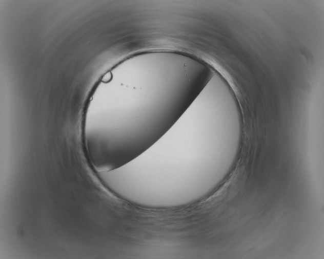 X0000113351477200910061008