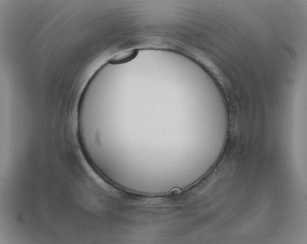 X0000113351479200910061008