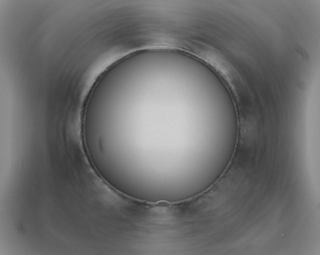 X0000113351480200910061008