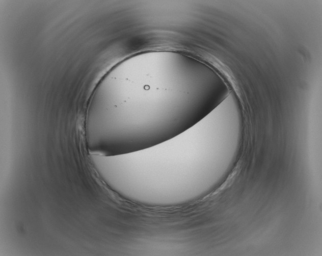 X0000113351481200910061008