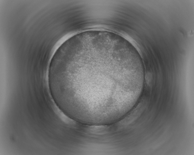 X0000113351482200910061008