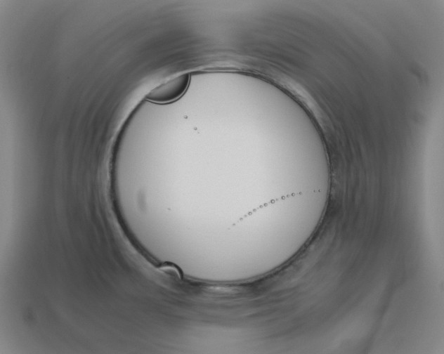 X0000113351483200910061008